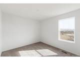 1662 Gold Bug Way - Photo 29