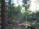 8117 Acoma Dr - Photo 14