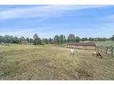 5360 Pine Ridge Dr - Photo 41