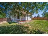 3865 Nucla St - Photo 20