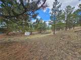 142 La Plata Peak Dr - Photo 11