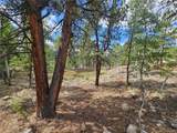 142 La Plata Peak Dr - Photo 12