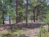 142 La Plata Peak Dr - Photo 13