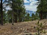 142 La Plata Peak Dr - Photo 16