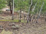 142 La Plata Peak Dr - Photo 18