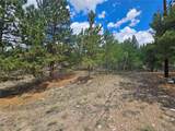 142 La Plata Peak Dr - Photo 19