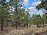 142 La Plata Peak Dr - Photo 2
