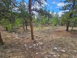 142 La Plata Peak Dr - Photo 20