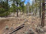 142 La Plata Peak Dr - Photo 24