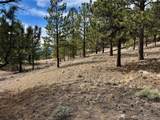 142 La Plata Peak Dr - Photo 26