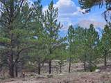 142 La Plata Peak Dr - Photo 3