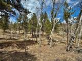 142 La Plata Peak Dr - Photo 9