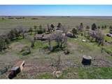 7409 County Road 157 - Photo 4