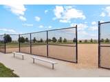 48200 Shetland Dr - Photo 14