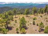 33550 Mount Wilson Trl - Photo 11