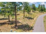 33550 Mount Wilson Trl - Photo 17