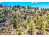 33550 Mount Wilson Trl - Photo 18