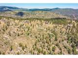 33550 Mount Wilson Trl - Photo 19