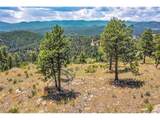 33550 Mount Wilson Trl - Photo 26