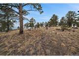33550 Mount Wilson Trl - Photo 29