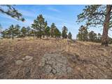 33550 Mount Wilson Trl - Photo 30