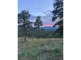 33550 Mount Wilson Trl - Photo 38