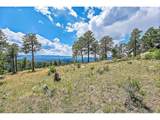 33550 Mount Wilson Trl - Photo 5