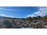 7265 Tiernan Rd - Photo 4