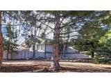 10507 Brown Fox Trl - Photo 32