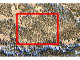 29870 County Rd 16 - Photo 11
