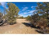29870 County Rd 16 - Photo 12