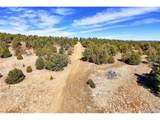 29870 County Rd 16 - Photo 15
