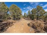 29870 County Rd 16 - Photo 4