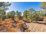 29870 County Rd 16 - Photo 5