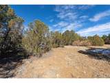 29870 County Rd 16 - Photo 7