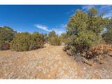 29870 County Rd 16 - Photo 8