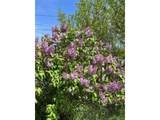 4528 27th Ave - Photo 40