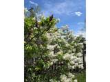 4528 27th Ave - Photo 41