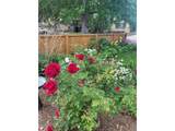 4528 27th Ave - Photo 42