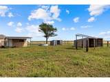 31556 County Road 3G - Photo 37