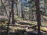 2796 Moir Dr - Photo 13