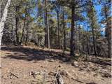 2796 Moir Dr - Photo 18