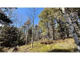 2796 Moir Dr - Photo 2