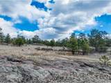 54 Ute Cir - Photo 15