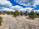 54 Ute Cir - Photo 17