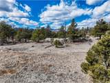 54 Ute Cir - Photo 23