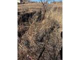 7873 Carr Ct - Photo 17