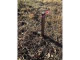 7873 Carr Ct - Photo 18