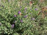7873 Carr Ct - Photo 27