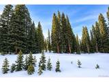 163 Prunes Pl - Photo 6